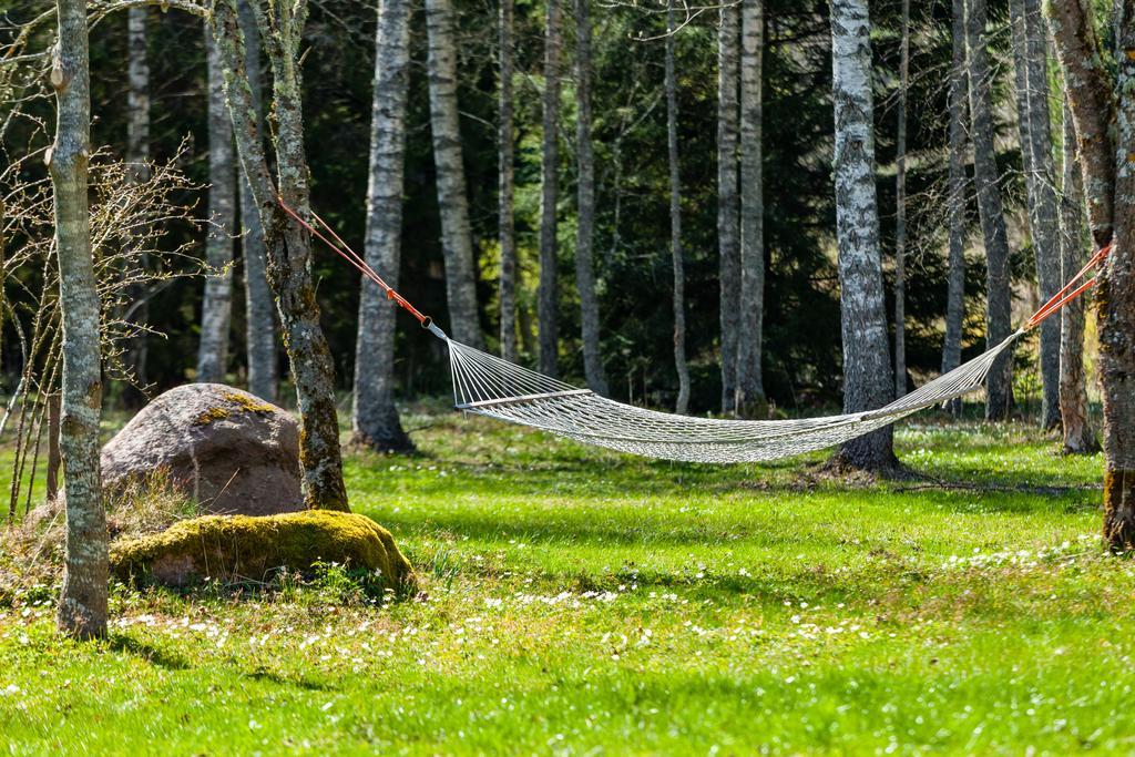 Adami Country Guesthouse Вайнупеа Экстерьер фото