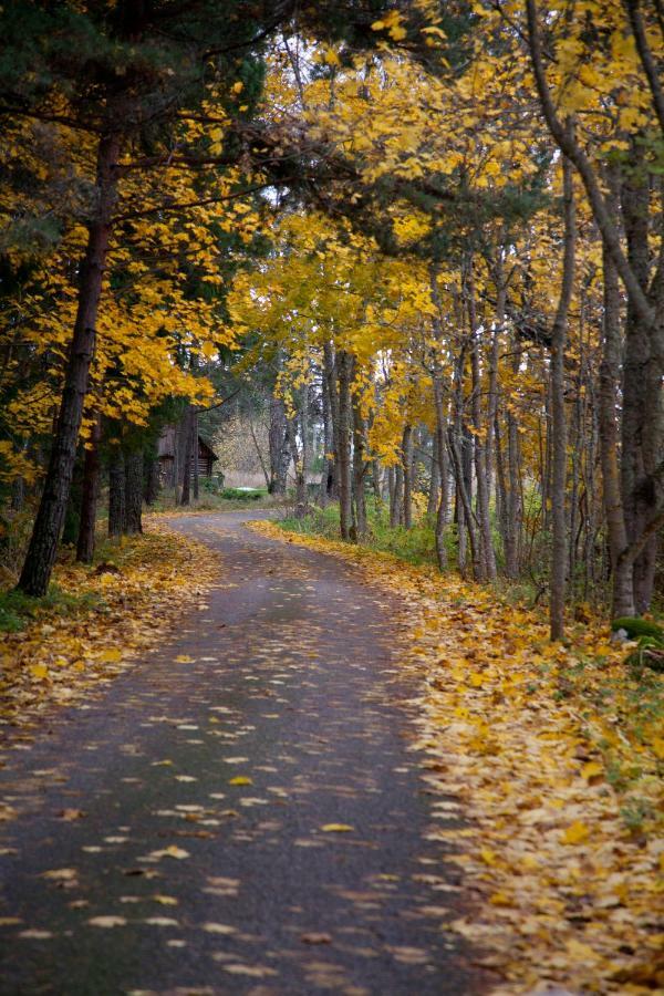 Adami Country Guesthouse Вайнупеа Экстерьер фото