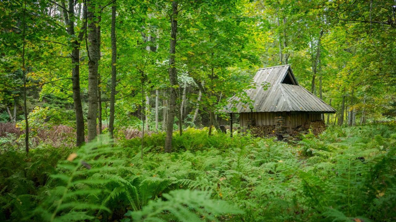 Adami Country Guesthouse Вайнупеа Экстерьер фото