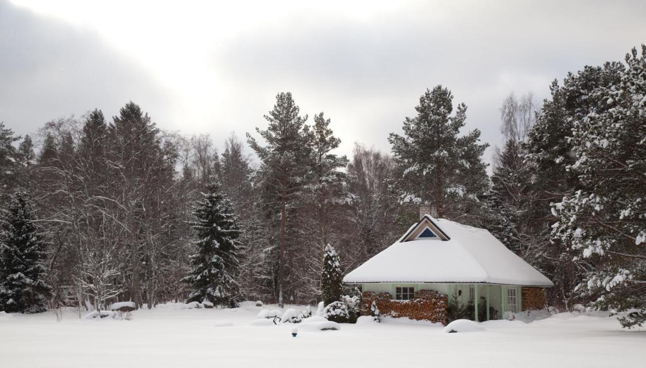 Adami Country Guesthouse Вайнупеа Экстерьер фото